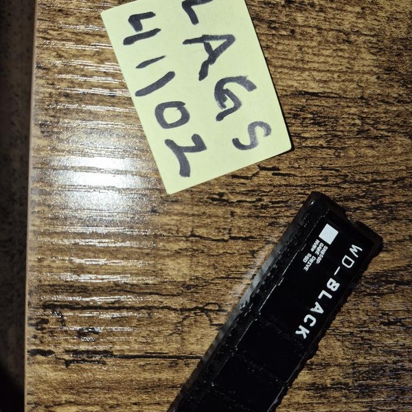Western Digital SSD