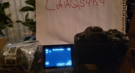 Mint
													Canon EOS R6 Mark II, photo 4 of 8