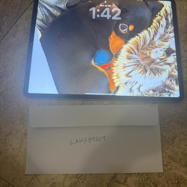 Apple iPad Pro 12.9 inch 6th Gen 2022 - AT&T, 256 GB, Silver