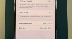 Mint
													Apple iPhone 16 Pro Max - Unlocked, Desert, 256 GB, A3084, photo 3 of 10