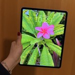 Mint Apple iPad Pro 12.9 inch 5th Gen 2021 - Wi-Fi, 128 GB, Silver