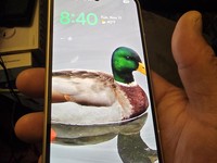 Google Pixel 10 Pro Fold