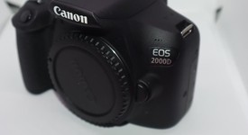 Mint
													Canon EOS 2000D, photo 4 of 15