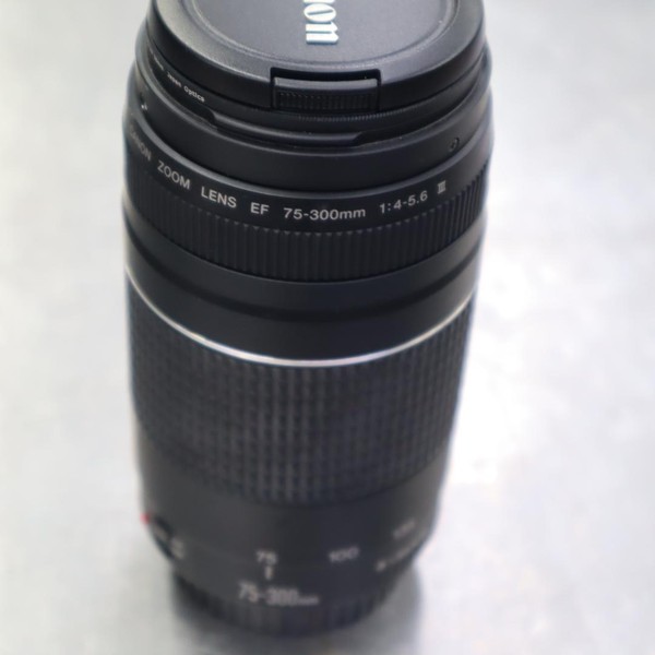 Canon EF 75-300mm f/4-5.6 III