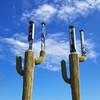 Desert Tech