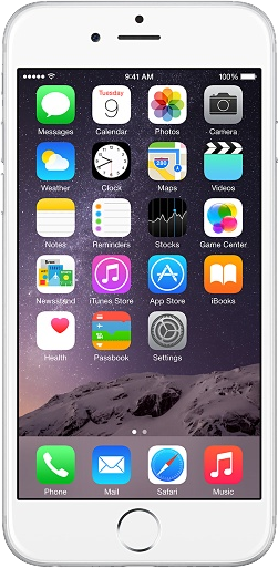 Apple iPhone 6 - Unlocked, Silver, 64 GB, A1549