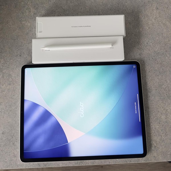 Apple iPad Pro 12.9 inch 5th Gen 2021 - Wi-Fi, 512 GB, Silver