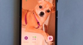 Mint
													Motorola Razr Plus (2023) - Spectrum, Black, 256 GB, 8 GB, photo 1 of 9