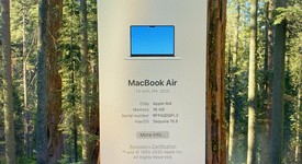 Mint
													MacBook Air 2025 (M4) - 13" - Apple M4, Starlight, 256 GB, 16 GB, photo 4 of 14
