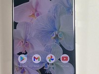 Google Pixel 6 Pro