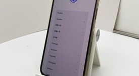 Fair
													Apple iPhone 13 Pro Max - Unlocked, Gold, 256 GB, A2484, photo 1 of 8