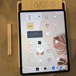 Mint Apple iPad Pro 12.9 inch 5th Gen 2021 - Unlocked, Gray, 128 GB