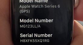 Fair
													Apple Watch Series 6 40mm - Gold, A2291 - GPS, Aluminum, photo 1 of 7