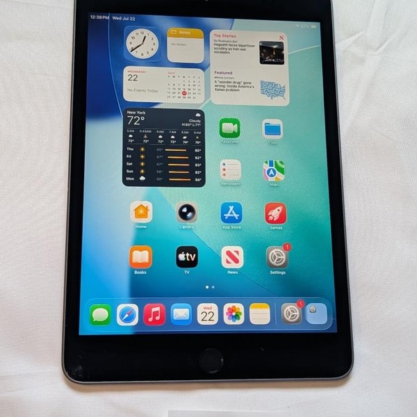 Apple iPad Mini (5th Gen) - Wi-Fi, 256 GB, Gray