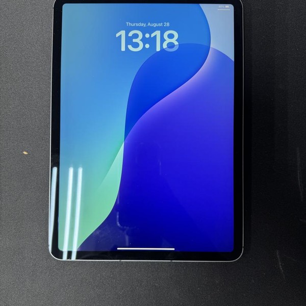 Apple iPad Pro 11 inch 3rd Gen 2021 - Unlocked, 128 GB, Gray