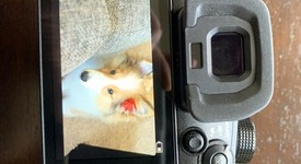 Mint
													Panasonic Lumix GH5, photo 4 of 7