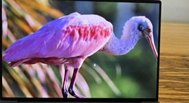 Good
													Dell XPS 13 Plus 9320 (2023) - I7, Graphite, 1 TB, 32 GB, 3.4K OLED Touch, photo 4 of 16