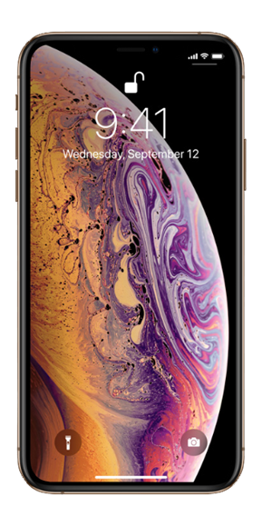 Apple iPhone Xs - Unlocked, Gray, 64 GB, A1920