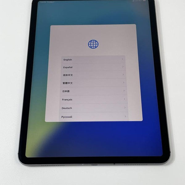 Apple iPad Pro 11 inch 2018 - Unlocked Non-US, 1 TB, Gray, A1934