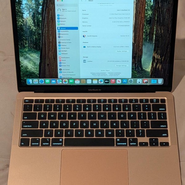 MacBook Air 2020 - 13 inch - 256 GB, Gold, 8 GB, Intel Core i3