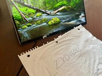 Microsoft Surface Pro X
