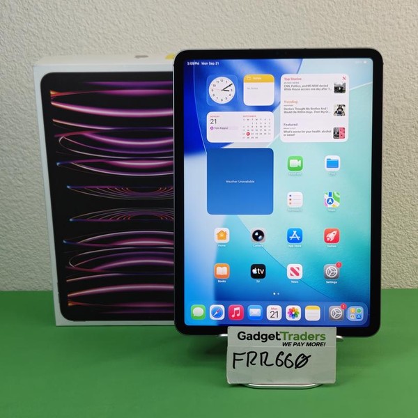 Apple iPad Pro 11 inch 4th Gen 2022 - Unlocked, 256 GB, Gray