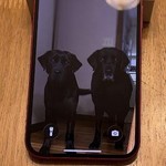 Mint Apple iPhone 13 - Unlocked, 128 GB, Red, A2482