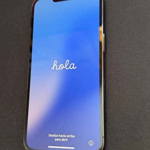 Apple iPhone 13 Pro - Unlocked, 256 GB, Graphite, A2483