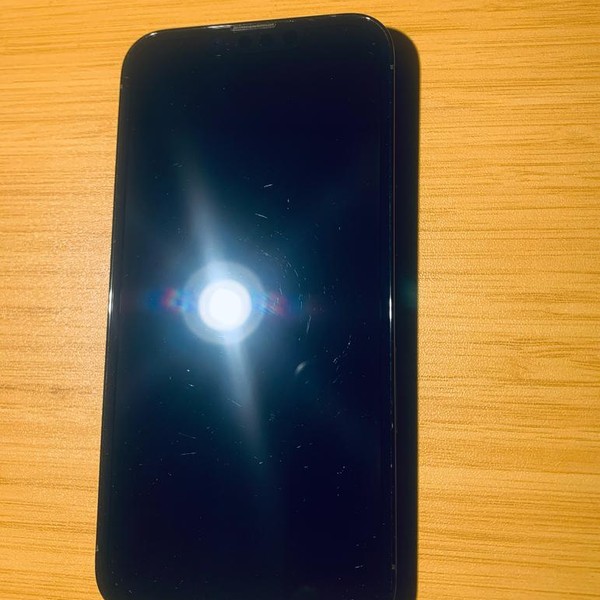 Apple iPhone 13 Pro - Unlocked, 256 GB, Graphite, A2483