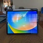 Mint Apple iPad Pro 12.9 inch 6th Gen 2022 - Unlocked Non-US, 256 GB, Gray