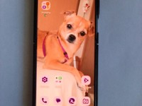 Motorola Razr Plus (2023)