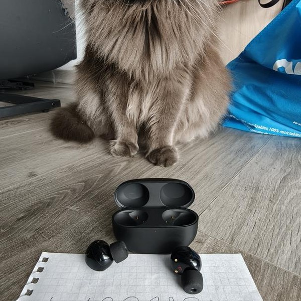 Sony WF-1000XM5 - Black