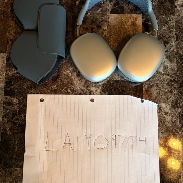 Apple AirPods Max - Sky Blue