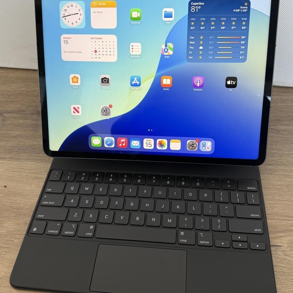 Apple iPad Pro 12.9 inch 6th Gen 2022 - Unlocked, 256 GB, Gray