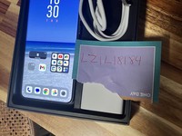 Vivo X200 Pro