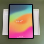 Mint Apple iPad Pro 11 inch (M4) 2024 - Wi-Fi, 256 GB, Black, 8 GB, A2836, Standard Glass