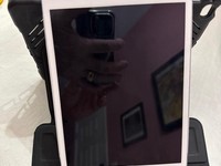 Apple iPad Mini