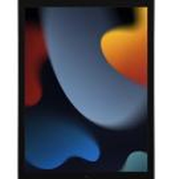 Apple iPad 9th Gen - Wi-Fi, 64 GB, Gray, A2602