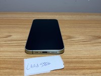 Apple iPhone 12 Mini