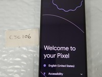 Google Pixel 9