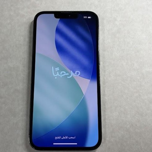 Apple iPhone 13 Pro - Unlocked, 128 GB, Green, A2483