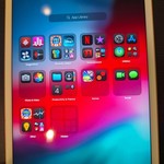 Mint Apple iPad Mini (5th Gen) - Wi-Fi, 64 GB, Gold
