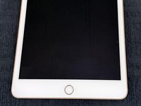 Apple iPad Mini 5th Gen