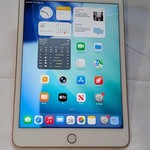 Good Apple iPad Mini (5th Gen) - Wi-Fi, 64 GB, Gold