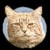 Seller: Morris S.