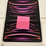 Mint Apple iPad Pro 12.9 inch 5th Gen 2021 - Unlocked, Gray, 256 GB