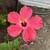 Seller: Jane Ann R.
