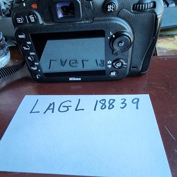Nikon D7100