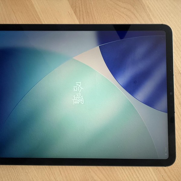 Apple iPad Pro 11 inch 3rd Gen 2021 - Unlocked, 256 GB, Gray