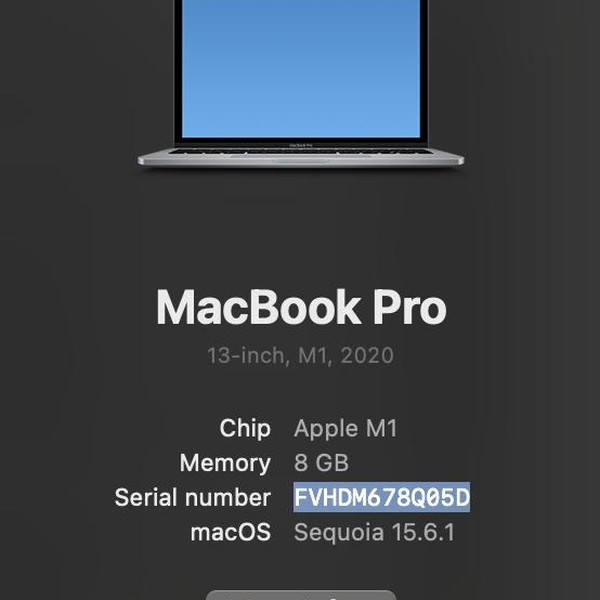 MacBook Pro 2020 - 13 inch - 256 GB, Gray, 8 GB, Apple M1